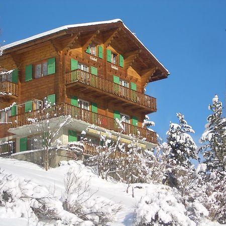 Chalet Kolibri Zermatt Exterior foto